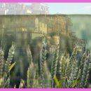 신나는 과학실험 놀이터 이미지