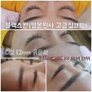 블랙스완 래쉬 네이버블로그