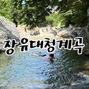 대청 계곡길 | 경남 가볼 만한 곳 경남 여름휴가 추천 김해장유대청계곡 아이랑 다녀온 후기