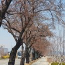 낙동강변로3-3 이미지