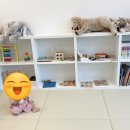 세종꾸러기소아치과의원 이미지