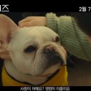 도그데이즈 이미지