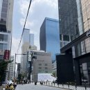 강남역 피부과 리쥬란힐러효과 엠보 가격 후기