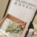 소노플라워 이미지