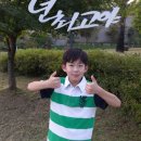 용문산관광지 야영장 | 양평 가볼만한곳 용문산 관광지 여유로운 나들이