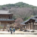 화엄사 티스토리
