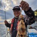 노란 오징어 이미지