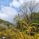 완두콩가족펜션