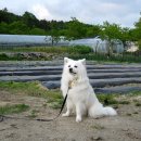 양정염포도서관 이미지