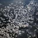 연안빌딩 이미지