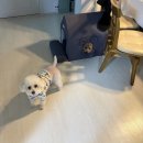 ER-1[경부고속도로]-상-289 | 통영여행 첫날!