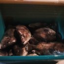 서울바다낚시터 이미지