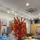 일산 탕후루, 웨스턴돔 맛집 [ 왕가 탕후루 정발산점 ]
