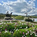 개화 | 순천만국가정원 주차 입장료 실시간 개화후기