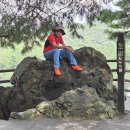 탄금공원 이미지