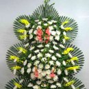 2014-주043 이미지