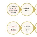 그레이프트리