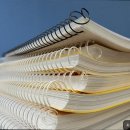 강남입시전략컨설팅학원 이미지