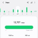 맥시칸치킨학동점 | 10/30(목)~11/08(토) 8박10일 한국 일정