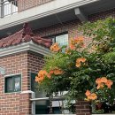 창대세탁 이미지