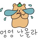 대주문구 이미지