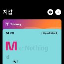 티머니페이_지하철 | 애플페이 티머니 후기, 부산지하철 버스 환승까지