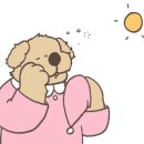 집밥진수성찬 이미지