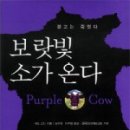 보랏빛 소
