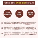 88PET 워킹가드 진통제로 강아지 슬개골관리 통증완화