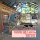 (주)스튜디오애니멀 | [포천 가볼만한곳-&#39;마이애니멀스토리in평강랜드&#39;] 동물들이 함께하는 공간으로 재 탄생된 평강랜드...