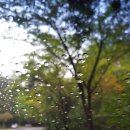 서면우체국 이미지