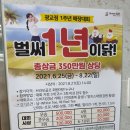 브라보 골프 광교 이미지