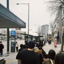 센트럴사운드 | [공연후기] 한 시간도 안한 센트럴씨 내한공연 후기 / CAN’T RUSH GREATNESS WORLD TOUR - Asia 2026