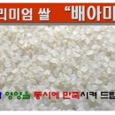 방아촌