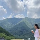 매튜516 이미지