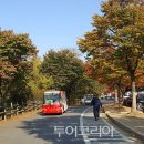 도화지 이미지