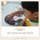슬라임룸Ⅹ래빗룸대전 | 대전 실내 아기랑 갈만한 곳 은행동 슬라임룸×래빗룸 후기 토끼 먹이 가능