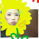 썬풀라워 이미지