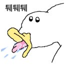 바르다헤어 이미지