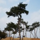 금마조경 이미지