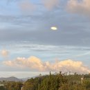 조수리 플로어 이미지