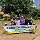 회야강변 이미지