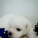 경주예찬기독
