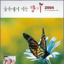 법인향림 이미지