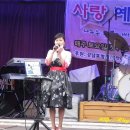 금사랑 티스토리