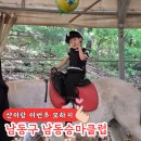 인천승마장 | 인천 학생승마체험 남동승마클럽 재활승마 10회 후기
