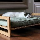 puppy lounge 이미지