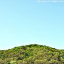 용현자연휴양림 이미지