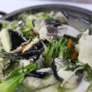 싱글벙글복어 이미지