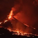 천은농장 이미지